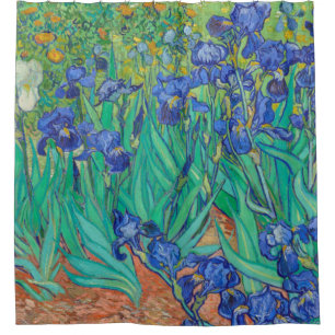 Irises Vincent van Gogh