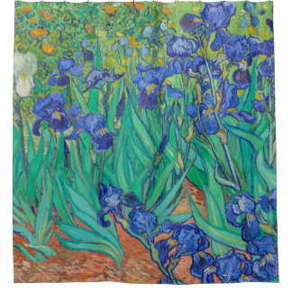 Irises Vincent van Gogh