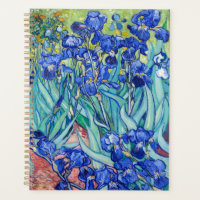 Irises Vincent van Gogh
