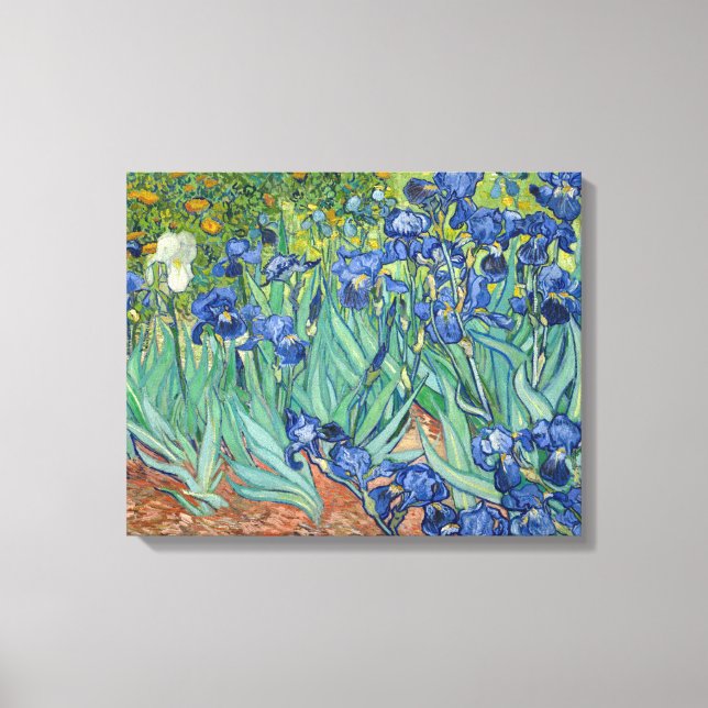 Irises | Vincent van Gogh Canvas Print (Front)