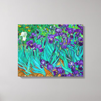 Irises, Vincent van Gogh  Canvas Print