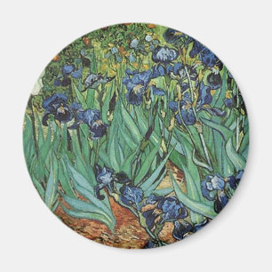 Irises  Vincent van Gogh Magnet