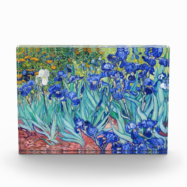 Irises  Vincent van Gogh  Photo Block (Front)