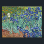Irises Vincent Van Gogh Photo Print<br><div class="desc">Irises by Vincent Van Gogh, oil on canvas 1889, is a painting of a patch of blossoming, brilliant violet and white iris flowers in a flower garden. Painted from life during the artist’s stay in Arles in the south of France, the painting builds short, swirling brushstrokes and flowing, coloured contour...</div>