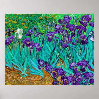 Irises, Vincent van Gogh Poster