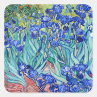 Irises Vincent van Gogh 