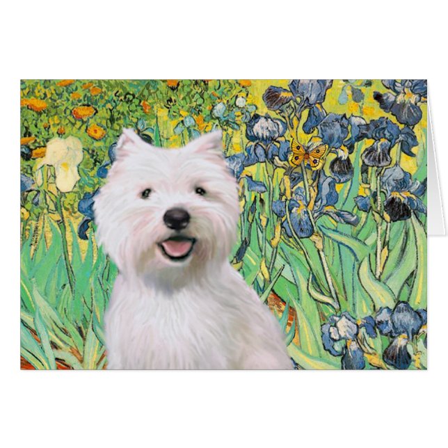 Irises - Westie 2 (Front Horizontal)