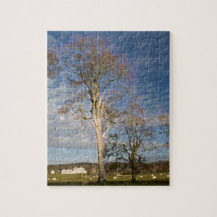 Irish Beech Trees Jigsaw Puzzle
