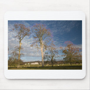 Irish Beech Trees Mouse Pad