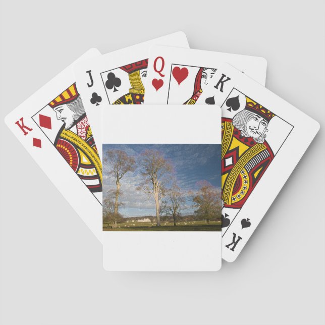 Irish Beech Trees Playing Cards (Back)