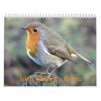Irish birds calendar
