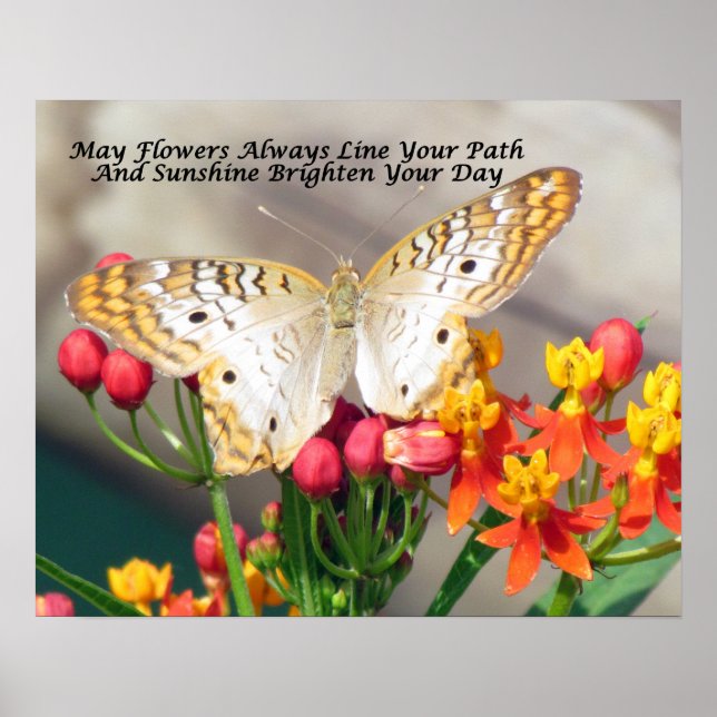 Irish Blessing Poster (White Peacock and Milkweed) (Front)