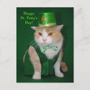 Irish Bubba Kitty Postcard