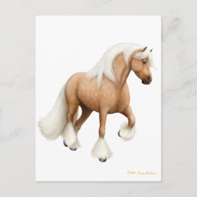 Irish Cob Horse Postcard (Front)