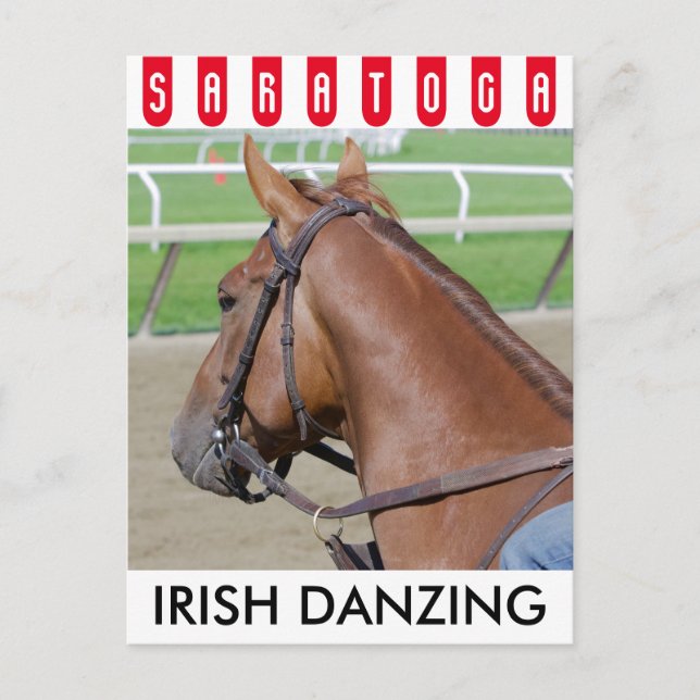 Irish Danzing 2 yr. old filly Postcard (Front)
