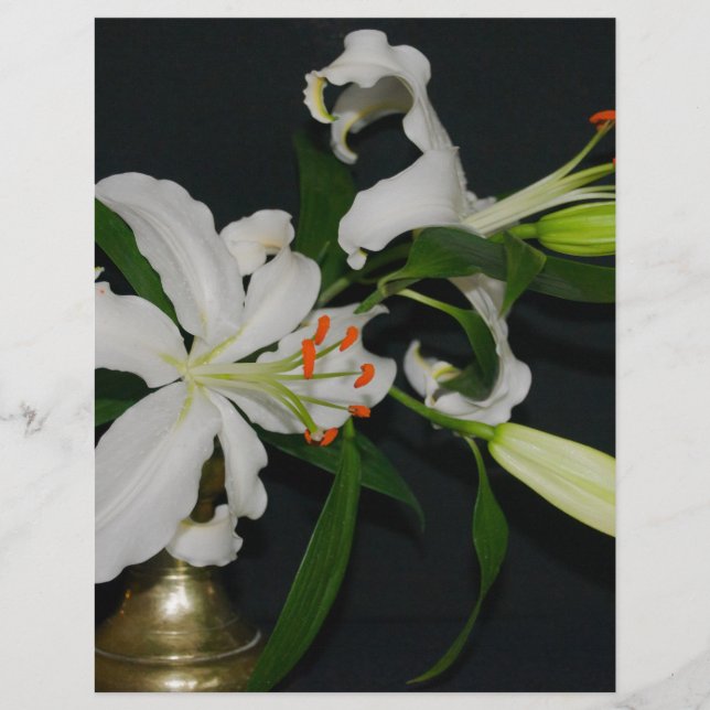 Irish Design-Brass and Flower Collection (Front)