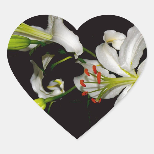 Irish Design- Brass and Flower Collection Heart Sticker (Front)