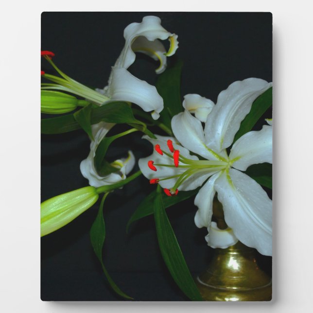 Irish Design-Brass and Flower Collection Plaque (Front)