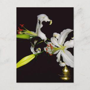 Irish Design- Brass and Flower Collection Postcard