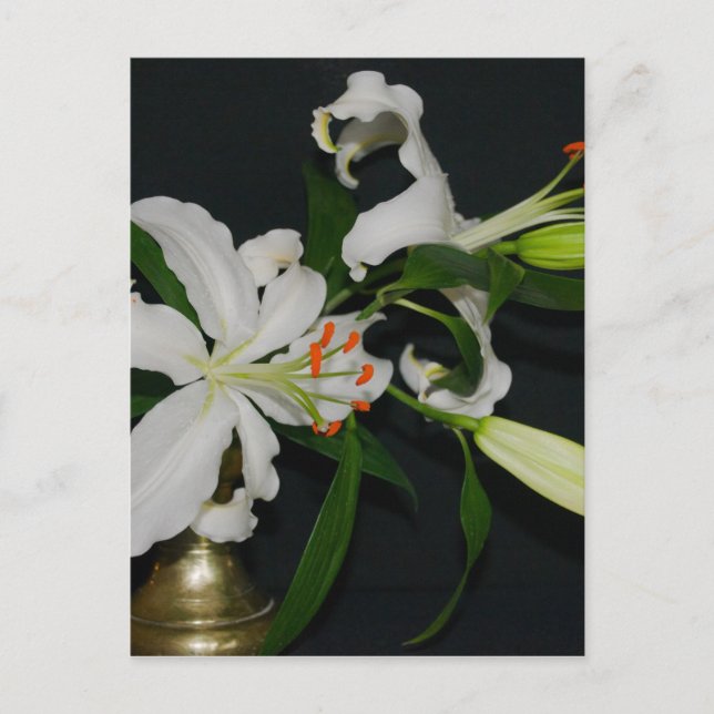 Irish Design-Brass and Flower Collection Postcard (Front)