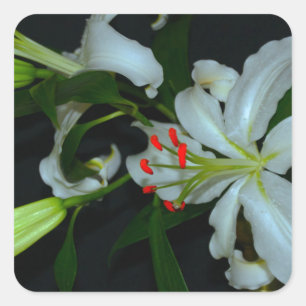 Irish Design-Brass and Flower Collection Square Sticker