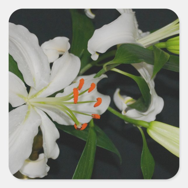 Irish Design-Brass and Flower Collection Square Sticker (Front)