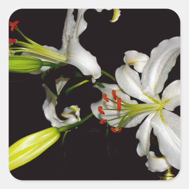 Irish Design- Brass and Flower Collection Square Sticker (Front)