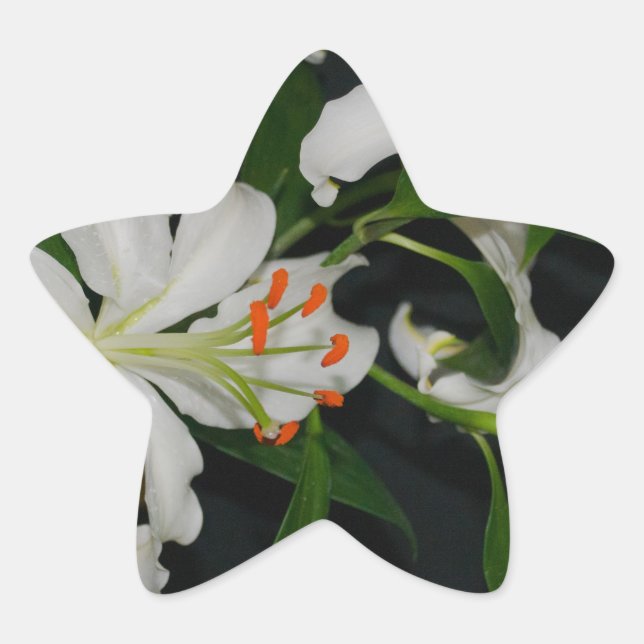 Irish Design-Brass and Flower Collection Star Sticker (Front)