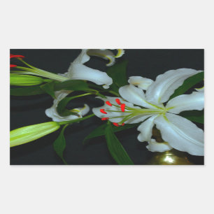 Irish Design-Brass and Flower Collection Sticker