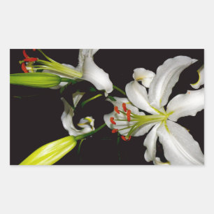 Irish Design- Brass and Flower Collection Sticker