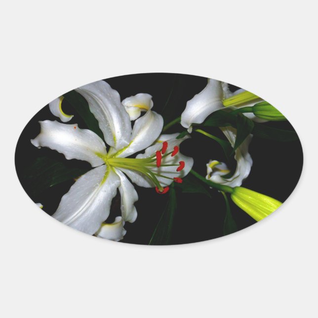 Irish Design-Brass and Flower Design Oval Sticker (Front)