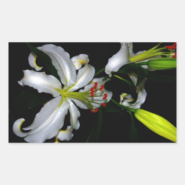 Irish Design-Brass and Flower Design Sticker (Front)