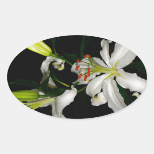 Irish Design-The Flower Collection Oval Sticker