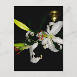 Irish Design-The Flower Collection Postcard