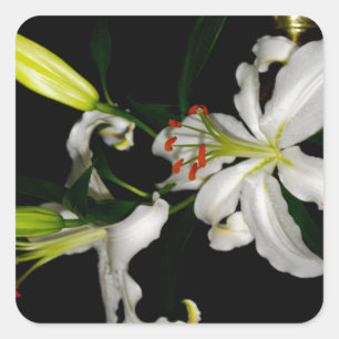 Irish Design-The Flower Collection Square Sticker