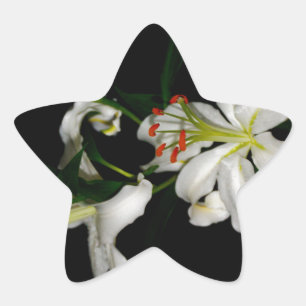 Irish Design-The Flower Collection Star Sticker