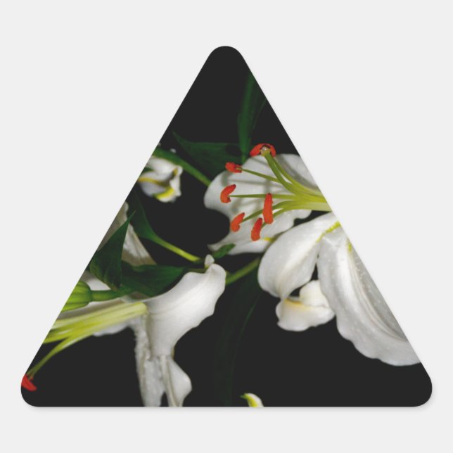 Irish Design-The Flower Collection Triangle Sticker (Front)