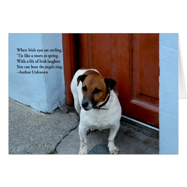 Irish Eyes (Front Horizontal)