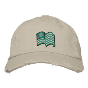 irish flag lucky clover hat