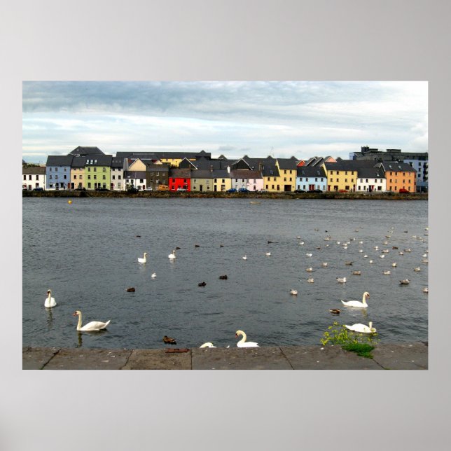 Irish Houses Poster (Front)