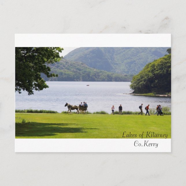 Irish Images for postcard (Front)