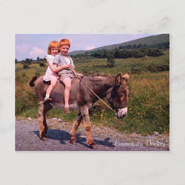Irish Images postcard (Front)