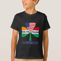 Irish Italian American Flag And Celtic Shamrock Pr