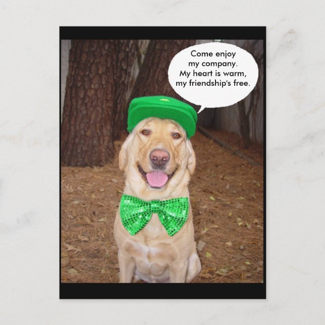 Irish Lab Saying Postcard (Front)