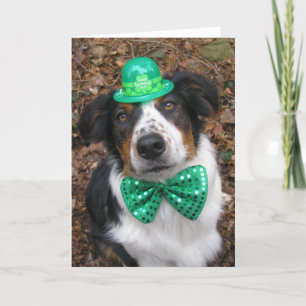 "Irish Laddie" Card
