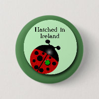 Irish Ladybug