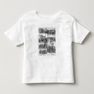 Irish Land League Agitation Toddler T-shirt