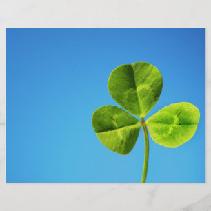 Irish luck flyer