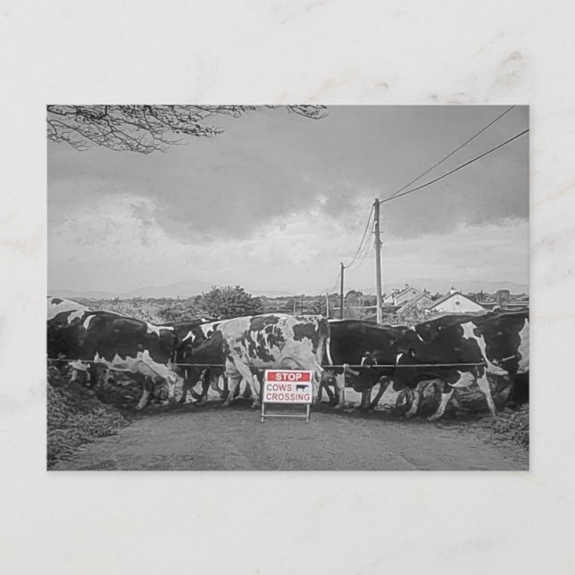 Irish Postcard (Front)