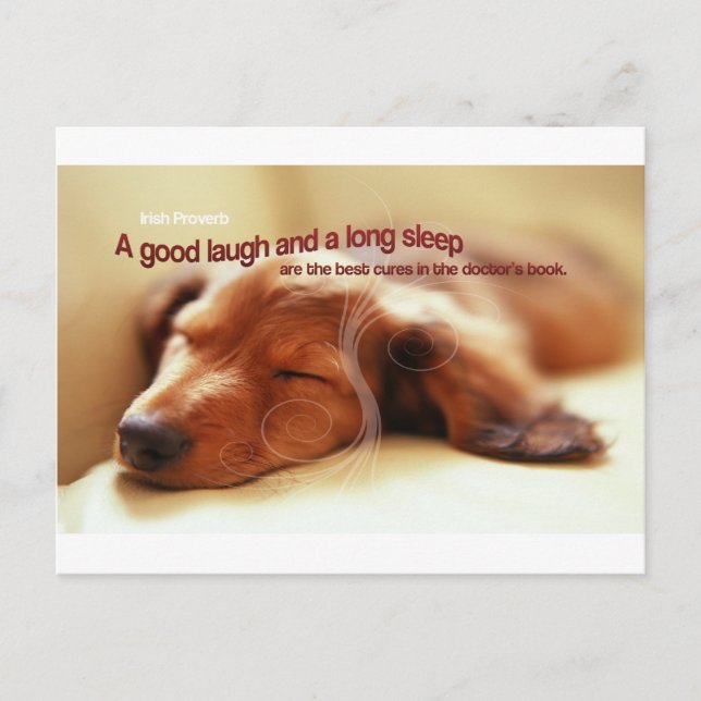 Irish Proverb and Sleeping Dog Postcard (Front)